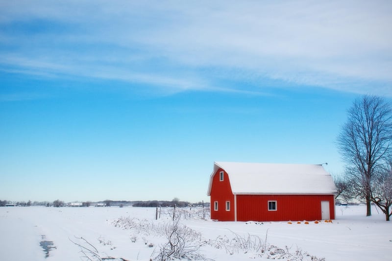 Woodland Barn